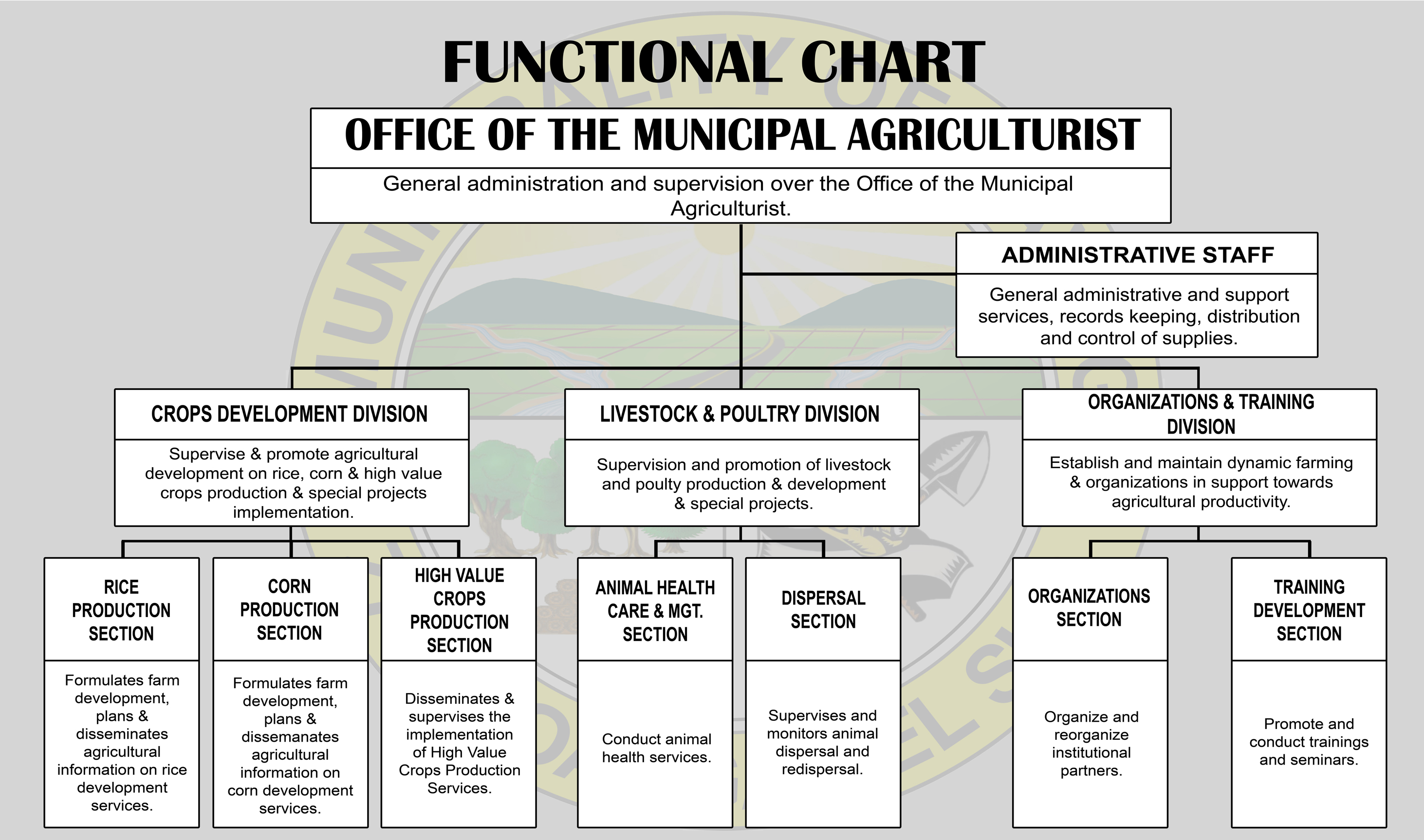 Municipal Engineering Office Organizational Chart
